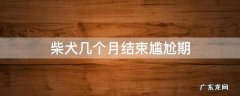 柴犬的尴尬期是几月到几月 柴犬几个月结束尴尬期