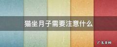 猫坐月子需要注意什么 猫咪坐月子需要注意什么