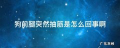 狗前腿突然抽筋是怎么回事啊 狗腿突然抽筋会是什么原因