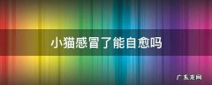 小猫感冒了能自愈吗 小猫咪感冒了会自愈吗