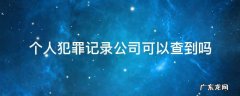 公司可以查询个人的犯罪记录吗 个人犯罪记录公司可以查到吗