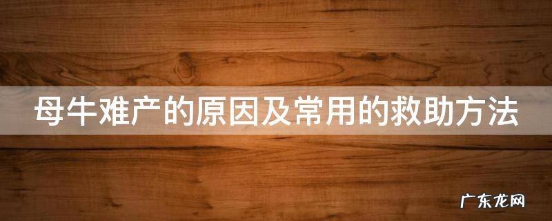 母牛难产的原因及常用的救助方法 母牛难产怎么办,母牛难产的处理