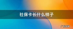 社保卡长什么样子图片 社保卡长什么样子
