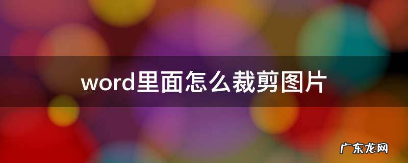 怎样在word里面裁剪图片 word里面怎么裁剪图片