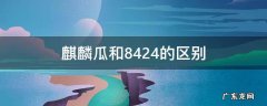 美都麒麟瓜和8424的区别 麒麟瓜和8424的区别