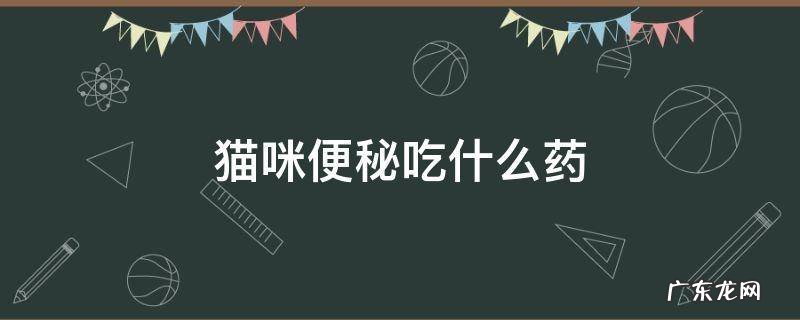 猫咪便秘吃什么药 猫咪便秘吃什么药最快排便
