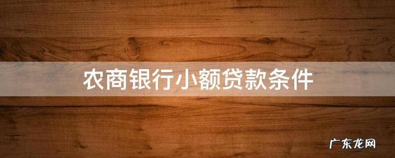 农业银行小额贷款条件 农商银行小额贷款条件