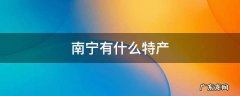 南宁有什么特产可以带回家 南宁有什么特产
