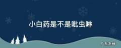 小白药是不是吡虫啉 小白药是吡虫啉吗
