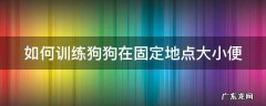 如何训练狗狗在固定地点大小便 如何训练狗狗在固定地点大小便视频
