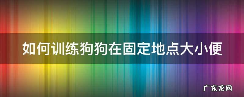 如何训练狗狗在固定地点大小便 如何训练狗狗在固定地点大小便视频