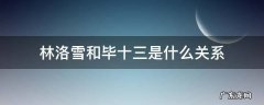 毕十三知道林洛雪是林雪吗 林洛雪和毕十三是什么关系