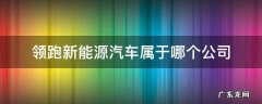 领跑新能源汽车属于哪个公司 领跑新能源汽车属于哪个公司是自主品牌吗