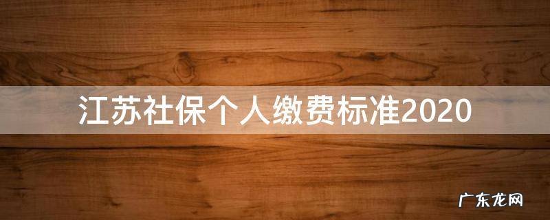 江苏社保个人缴费标准2020 江苏社保个人缴费标准2020多少钱