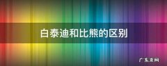 白泰迪和比熊的区别 白泰迪跟比熊的区别