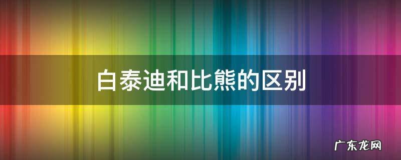 白泰迪和比熊的区别 白泰迪跟比熊的区别