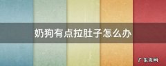 小狗喝奶拉肚子怎么办 奶狗有点拉肚子怎么办
