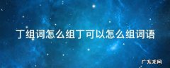 丁组词怎么组丁可以怎么组词语