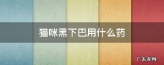 猫咪黑下巴用什么药比较好 猫咪黑下巴用什么药