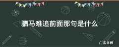 驷马难追前面那句话是什么 驷马难追前面那句是什么