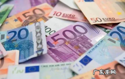 颜色不同 蓝猫和金渐层的区别是什么