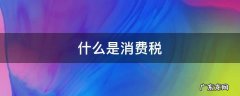 什么是消费税 举例说明什么是消费税