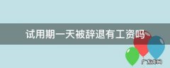 试用期上班两天被辞退有工资么 试用期一天被辞退有工资吗