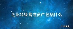 企业非经营性资产包括什么 什么是经营性资产和非经营性资产