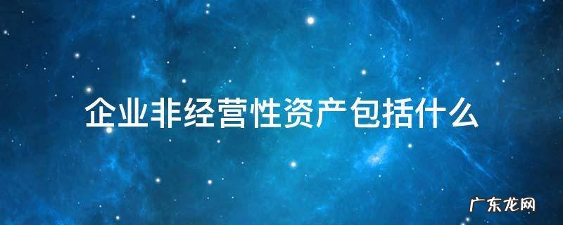 企业非经营性资产包括什么 什么是经营性资产和非经营性资产