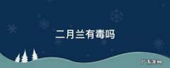 二月兰有没有毒 二月兰有毒吗