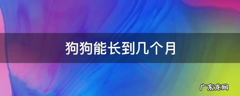 狗狗能长到几个月 狗可以长到几个月