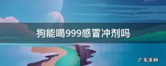 狗能喝999感冒冲剂吗 狗感冒了可以喝999感冒灵吗