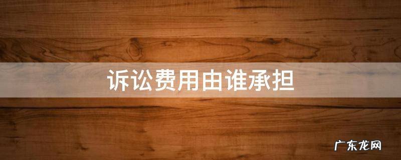 诉讼费用由谁承担的法律规定 诉讼费用由谁承担
