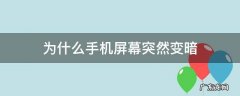 苹果手机为什么手机屏幕突然变暗 为什么手机屏幕突然变暗