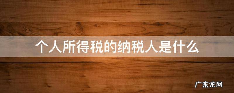个人所得税的纳税人是什么 个人纳税属于什么纳税人