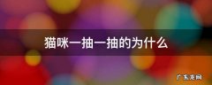 猫咪偶尔一抽一抽的为什么 猫咪一抽一抽的为什么