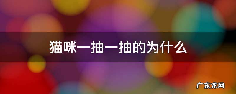 猫咪偶尔一抽一抽的为什么 猫咪一抽一抽的为什么