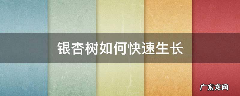 银杏树如何快速生长 银杏树怎样种植长得快