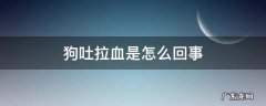 狗吐拉血是怎么回事 狗吐血拉血是怎么回事是什么病