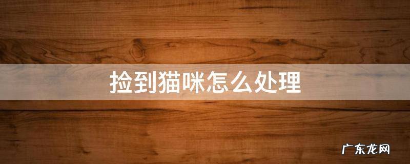 刚捡回来的猫咪怎么处理 捡到猫咪怎么处理