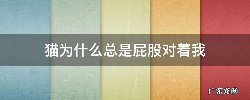 猫总喜欢把屁股对着我 猫为什么总是屁股对着我