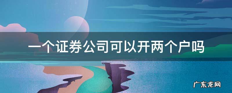 一个证券公司可以开两个户吗 在一个证券公司能开两个户吗
