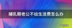 哺乳期老公不给生活费怎么办 哺乳期丈夫不给生活费