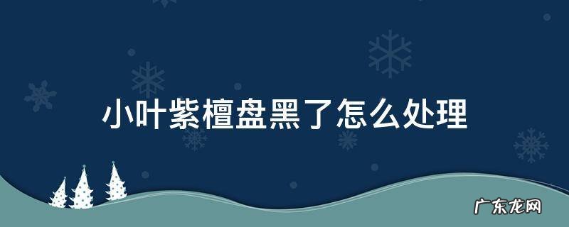 小叶紫檀盘黑了怎么处理 小叶紫檀盘黑了 三招让它恢复如初