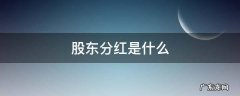 股东分红是什么时候分 股东分红是什么