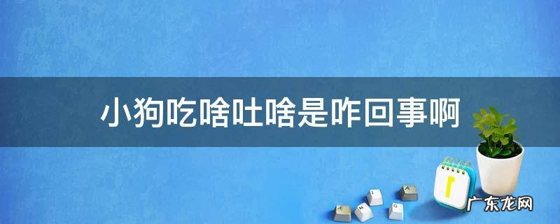 小狗吐吃什么 小狗吃啥吐啥是咋回事啊