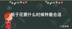 栀子花什么时候移栽最好 栀子花要什么时候种最合适