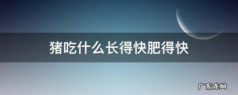 猪吃什么长得快肥得快 猪吃什么长得快肥得快,视频