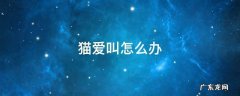 猫爱叫怎么办 暹罗猫爱叫怎么办