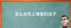 怎么杀死土壤里的虫子 如何消灭土壤里的虫子